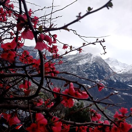 Lo Tsanty Casa Vacanza Aosta Bagian luar foto