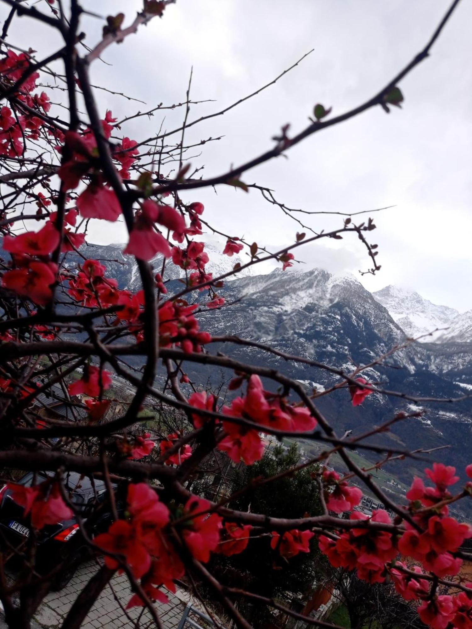 Lo Tsanty Casa Vacanza Aosta Bagian luar foto