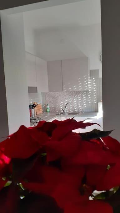 Lo Tsanty Casa Vacanza Aosta Bagian luar foto